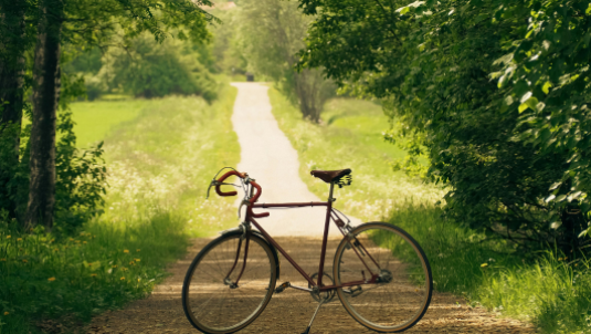 picture of a bike