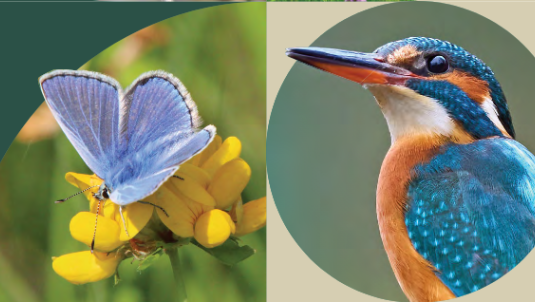 Biodiversity Plan
