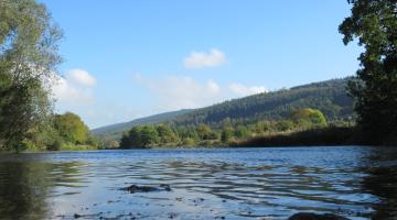 Blueway Clonmel