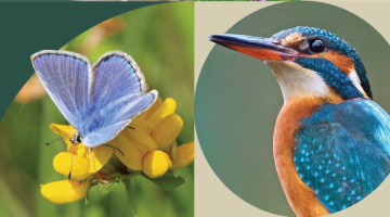 Biodiversity Plan